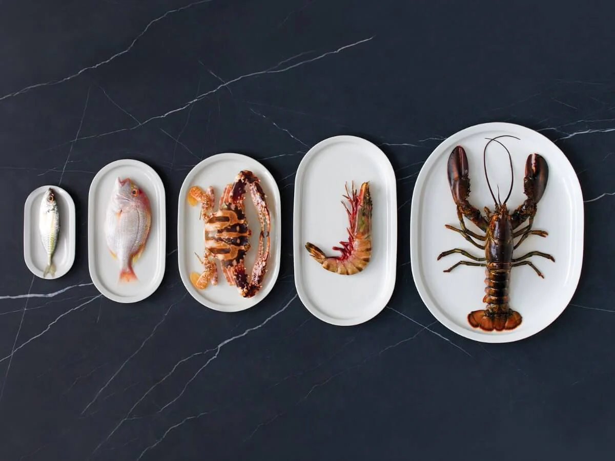 Loveramics | Er-Go! System 37cm Fish Plate - Image 4